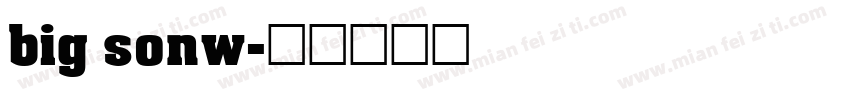 big sonw字体转换